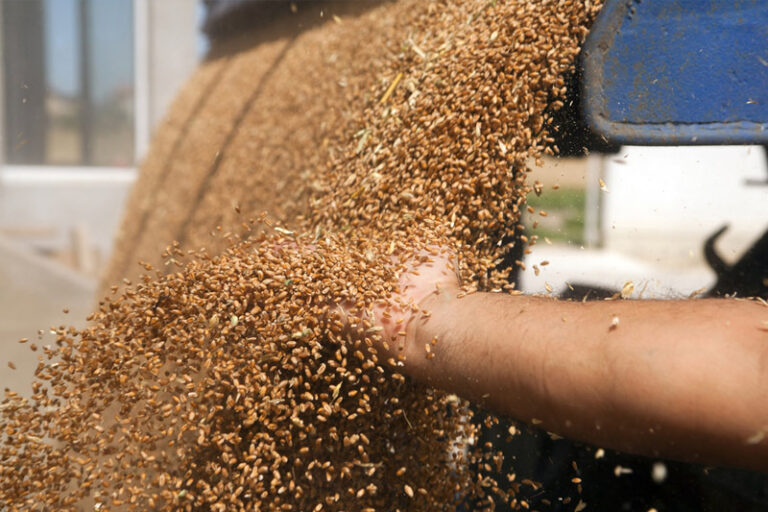 Ukraine Black Sea grain deal extended for two months By Reuters