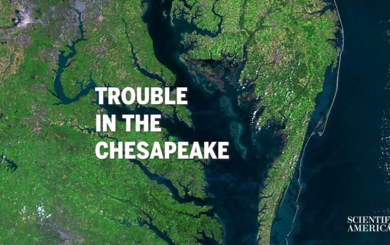 Will the Chesapeake Bay Become a Dead Zone?