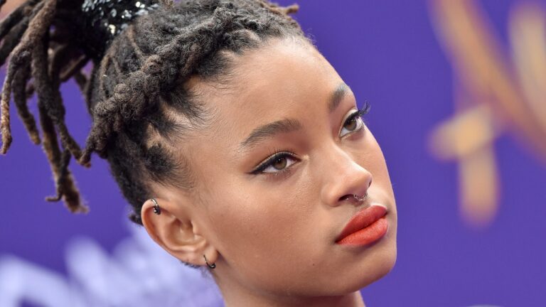 Willow Smith’s Teeny Weeny Afro Is Too Cute to Describe in Words — See Photos