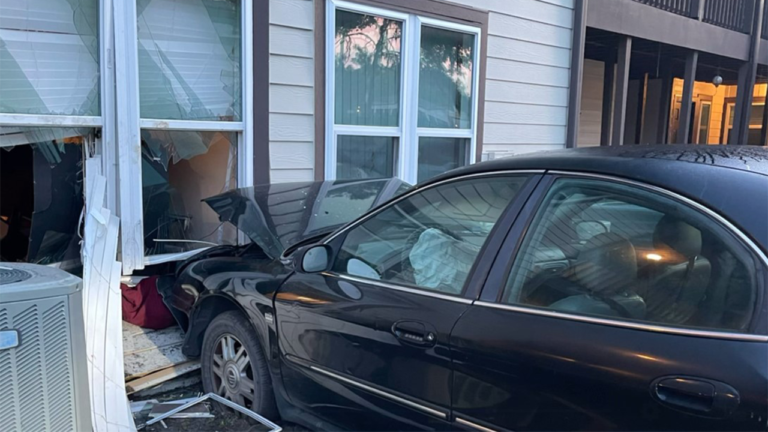 Florida man cuts off ankle monitor, jumps out of apartment window during SWAT negotiations