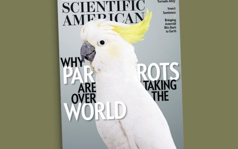 Inside the Minds of People, Parrots and Bees