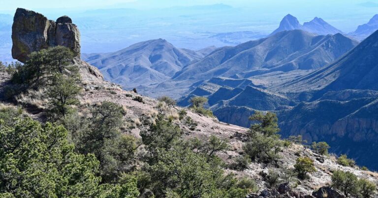 Teen and Stepfather Die on Hike in Near-Record Texas Heat