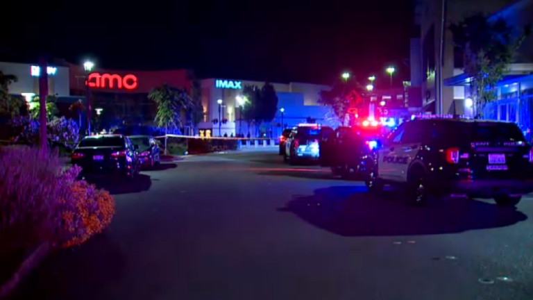 Teen killed in Washington shooting during ‘Transformers’ movie showing, suspect at large