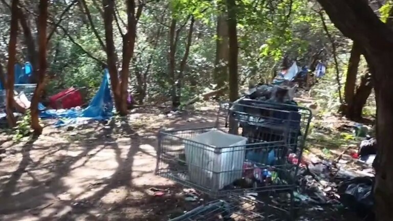 Video shows Texas capital’s ‘crown jewel’ trail trashed by hidden homeless camps: ‘completely destroyed’