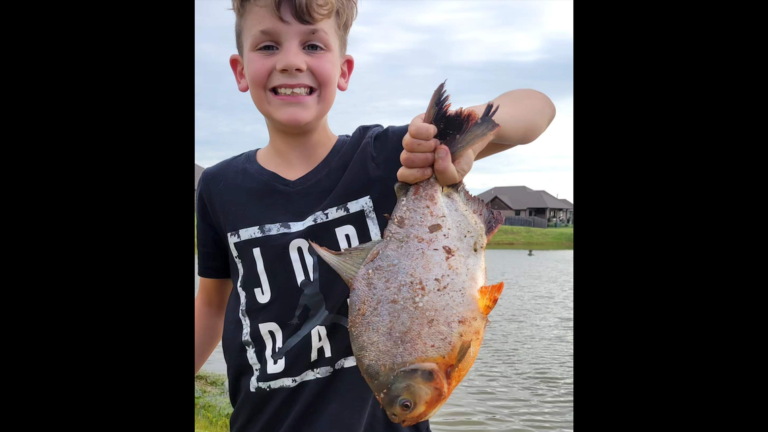 Boy reels in freaky fish with human-like teeth in Oklahoma. It wasn’t where it should be