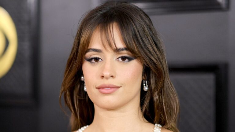 Camila Cabello’s Updo Has More Tendrils in the Back Than It Does in the Front — See Photos