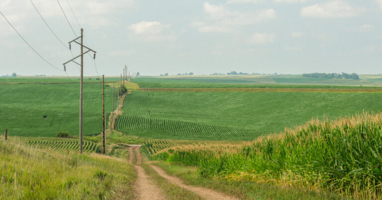 Climate Activists and Steve King Unlikely Allies in Iowa Pipeline Fight