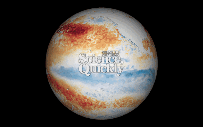 El Niño is Back. What Does That Mean For You?