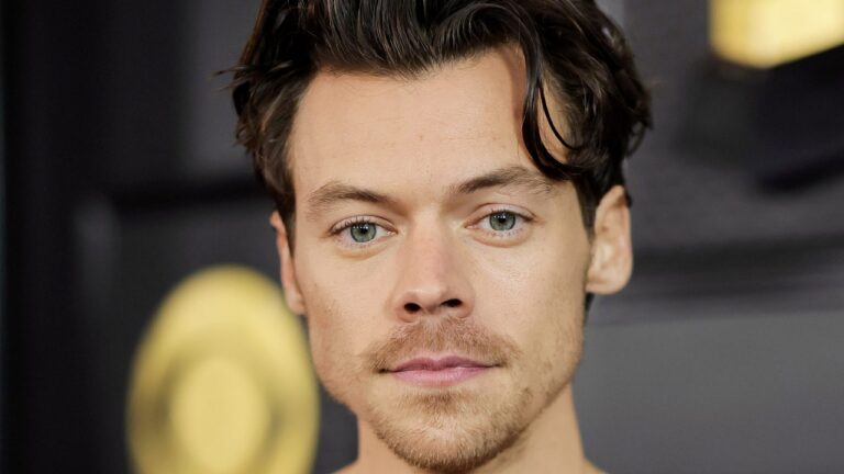 Harry Styles’s Newest Wax Figure Is So Incredibly Lifelike… Are We Sure It’s Fake? — See Photos