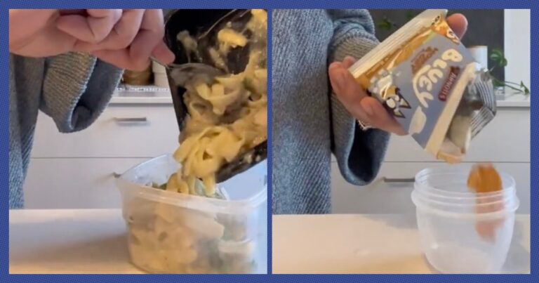 Mom Fakes Homemade Lunches For Her Kid’s Daycare With Strict Food Rules