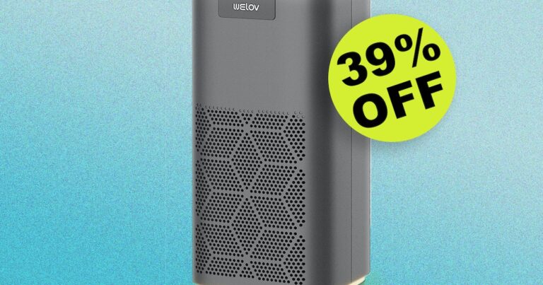 This Sleek Air Purifier Will Help You Breathe Easier This Summer — & It’s On Sale Now