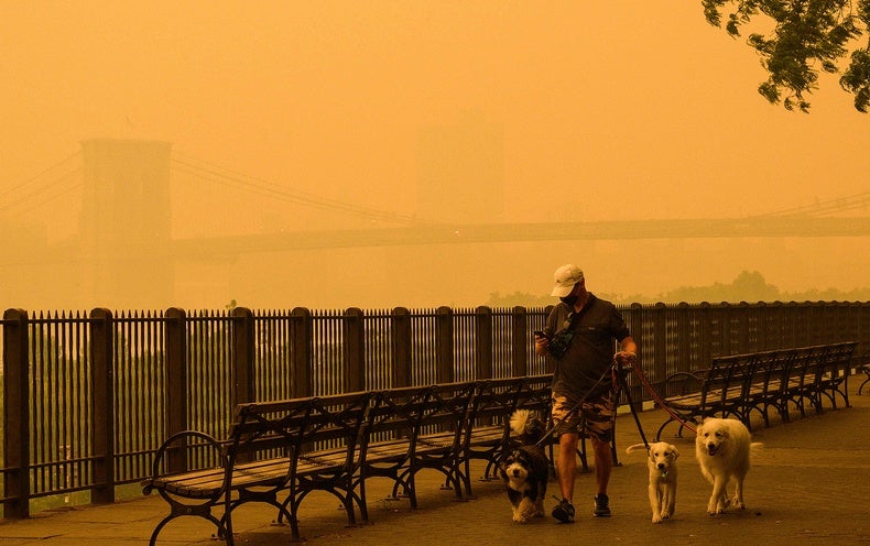 Americans Have Breathed More Wildfire Smoke in Eight Months Than in Entire Years