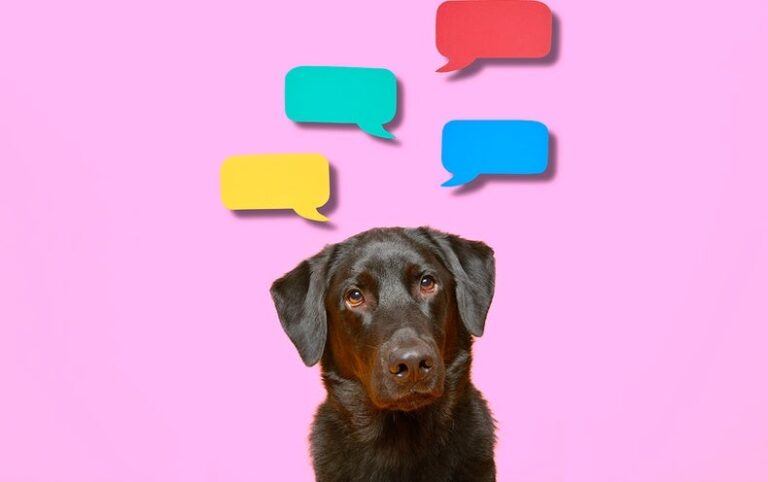 Can Dogs Use Language? – Scientific American