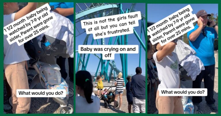 Couple Left Their 7-Year-Old To Watch Their Infant To Ride A Roller Coaster