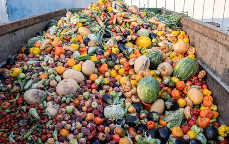 How Wasted Food Turns into Huge Amounts of Greenhouse Gas
