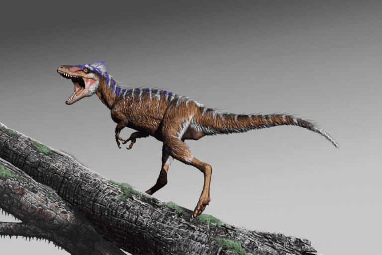 Meet Moros intrepidus: A Tiny Ancestor of Tyrannosaurus Rex