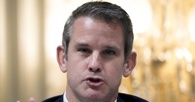 Adam Kinzinger Rips ‘Outrageous’ Ron DeSantis For Not Meeting With Biden In Florida