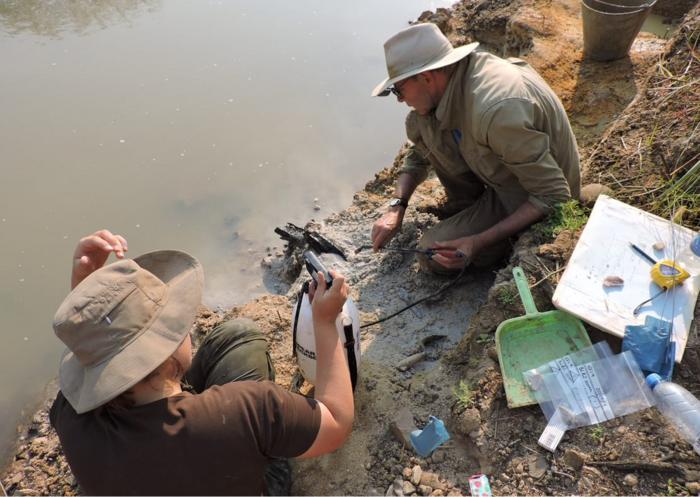 This Wooden Structure Is Almost Half a Million Years Old, and has a Mystery Builder