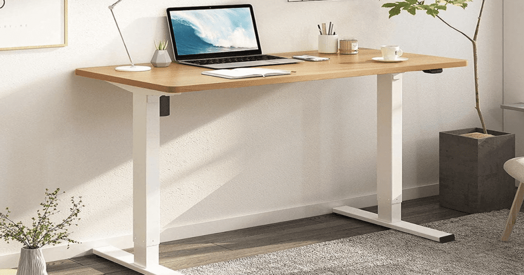 FLEXISPOT Standing Desk