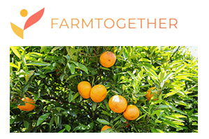 What Is FarmTogether And How Does It Work?