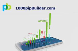 What is 1000pip Builder? The Forex Signal Provider You Need to Know