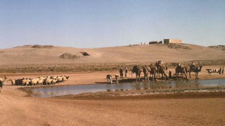 Comet explosion may have started agriculture in Syria 12,800 years ago