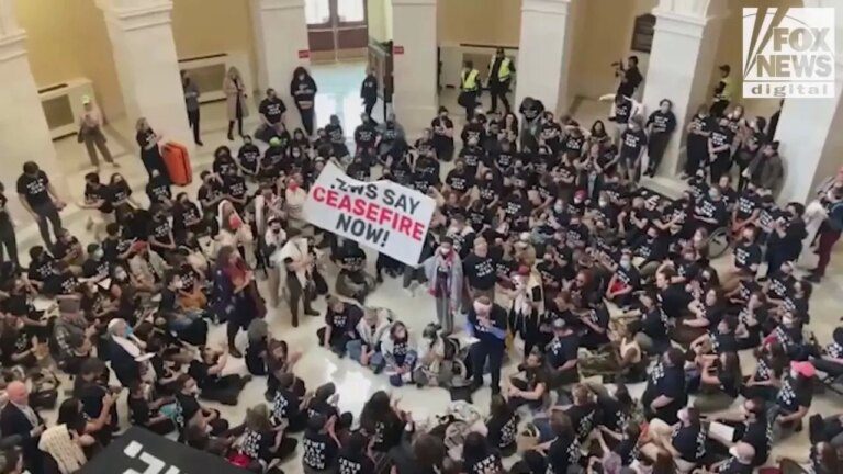 Pro-Palestine demonstrators swarm inside Capitol Hill, demand ceasefire as police begin arresting protesters