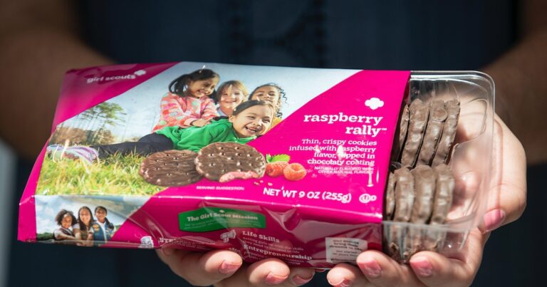 The Girl Scouts Are Discontinuing A Cult Favorite For Cookie Eaters