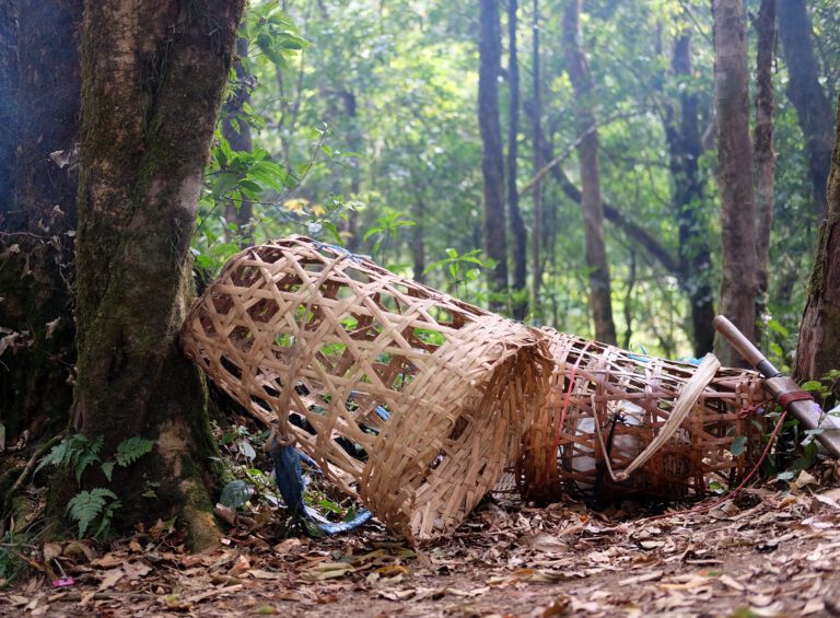 European Basket-Making Is at Least 9,500 Years Old, When It Was Used to Hold Hunter Gatherers’ Valuables