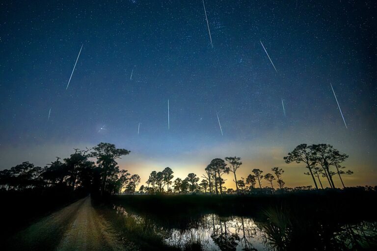 Leonid and Geminid Meteor Showers Bring Bonanza before Year’s End