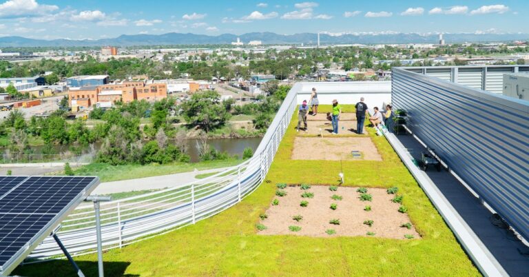 The Ultra-Efficient Farm of the Future Is in the Sky