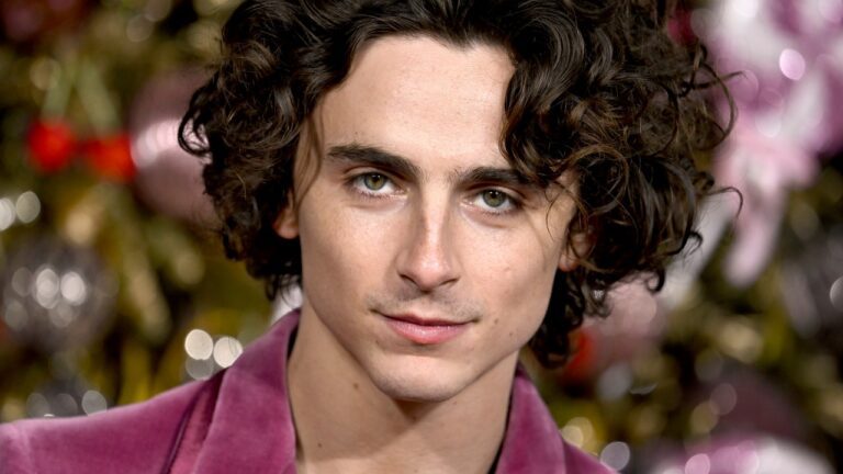 Timothée Chalamet Can Claim to Be Six Feet Tall, Thanks to These Voluminous Curls — See Photos