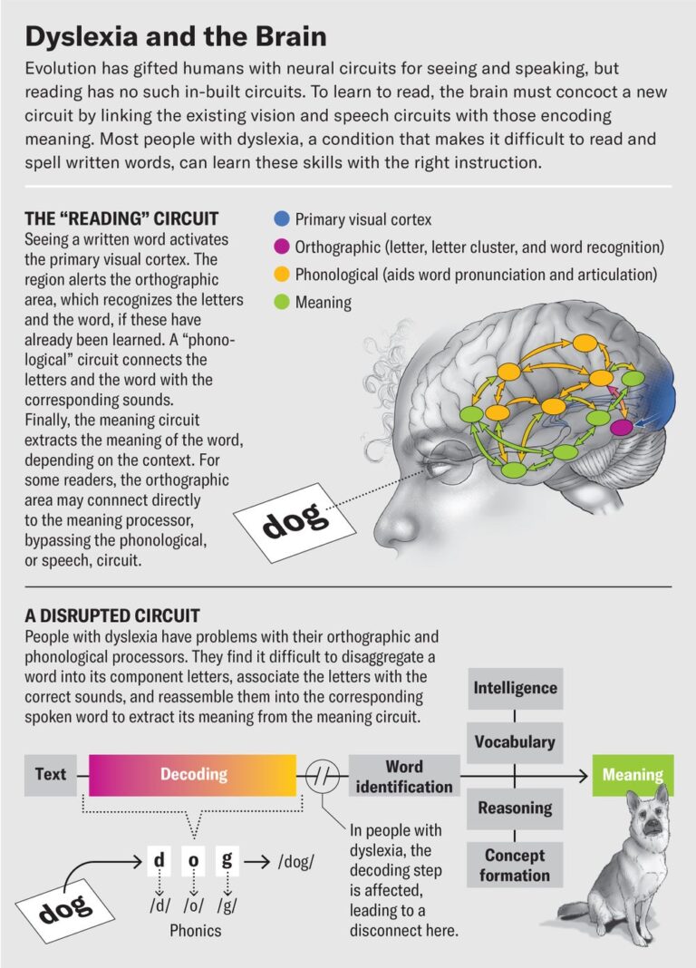 Too Many Schools Are Misdiagnosing Dyslexia