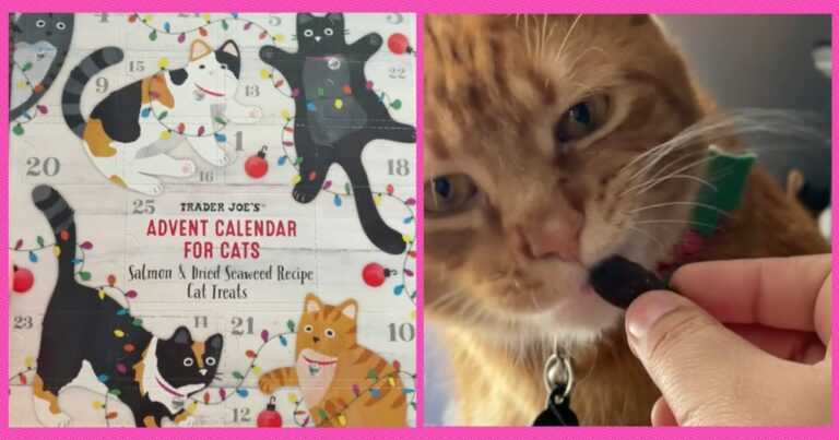 Trader Joe’s Is Selling The Cutest Pet Advent Calendars