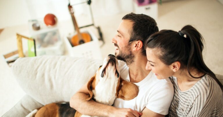 Why Does My Dog Only Listen To My Spouse? Two Vets Decode “Pack Mentality”