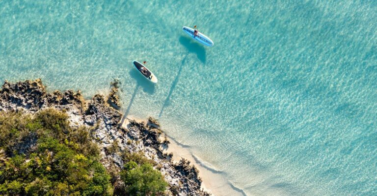 Boston Tourist Killed By Shark While Paddleboarding In Bahamas