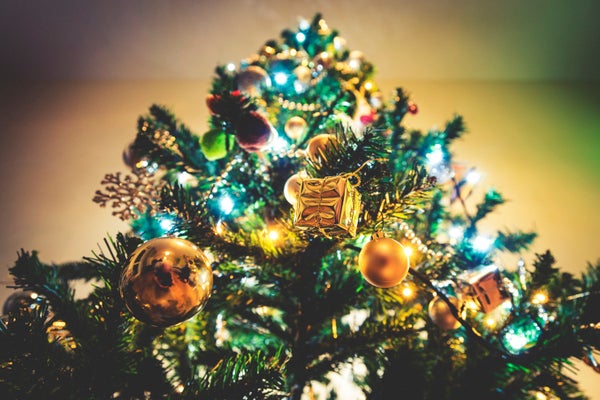 Christmas Tree Economics, Explained | Scientific American