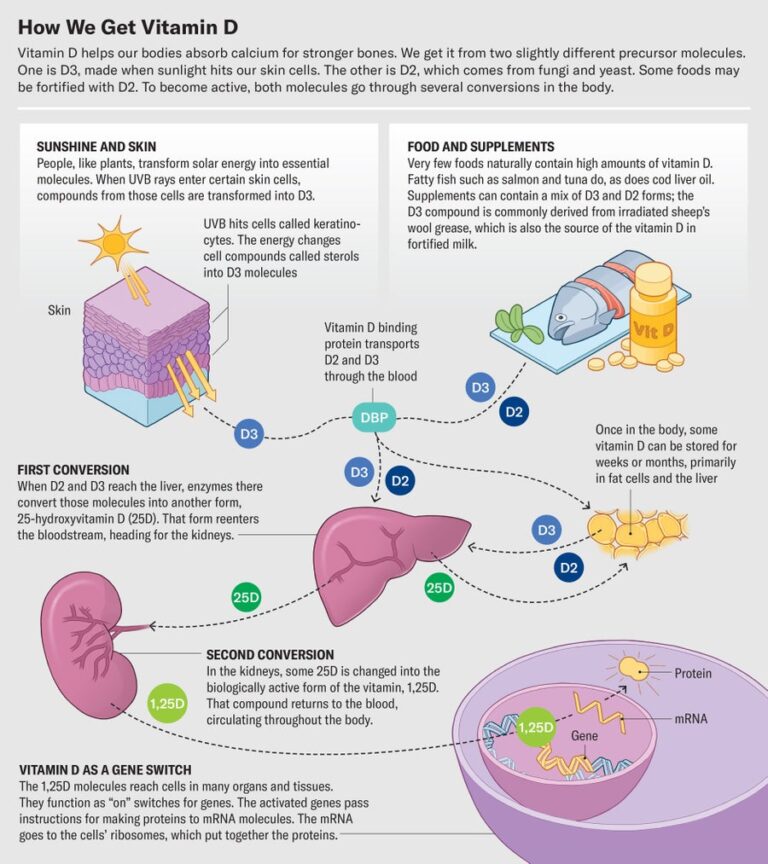 How Much Vitamin D Do You Need to Stay Healthy?