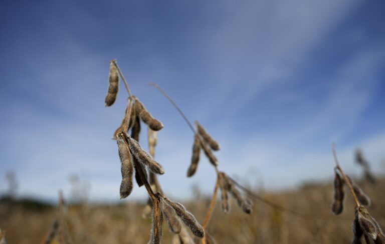 Corn and soybean futures edge higher on South American weather concerns By Investing.com