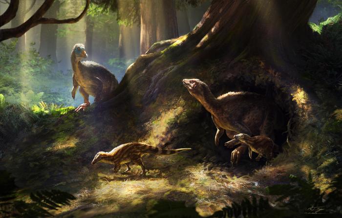 A Chicken-Like Dinosaur With Super Senses Finally Gets the Attention It Deserves