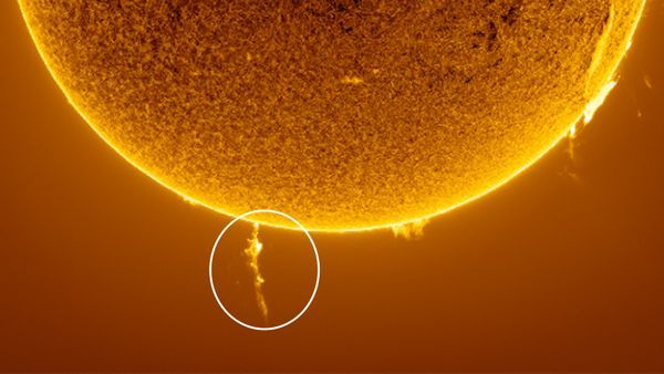 ‘A wonderful spectacle’: Photographer snaps rare solar eruption as ‘magnetic noose’ strangles the sun’s south pole