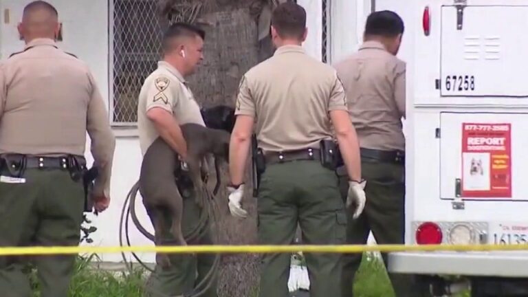 California man attacked, killed by group of pit bulls in backyard kennel