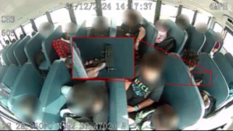 Florida teen arrested for bringing gun on Hernando County school bus: deputies