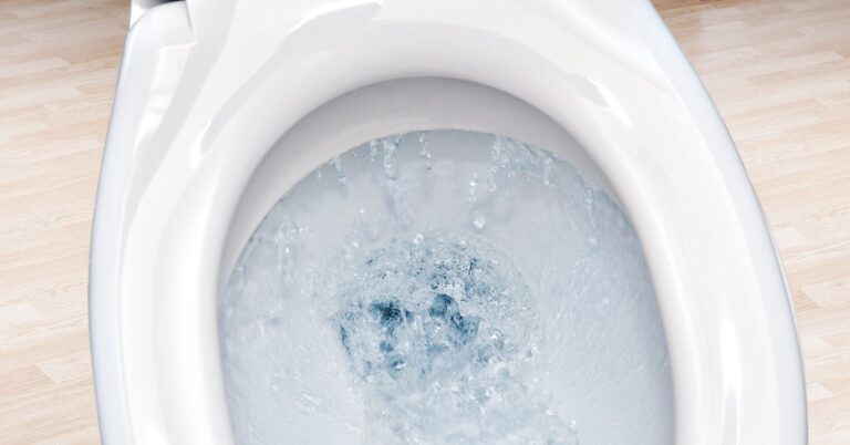 The City of Tomorrow Will Run on Your Toilet Water