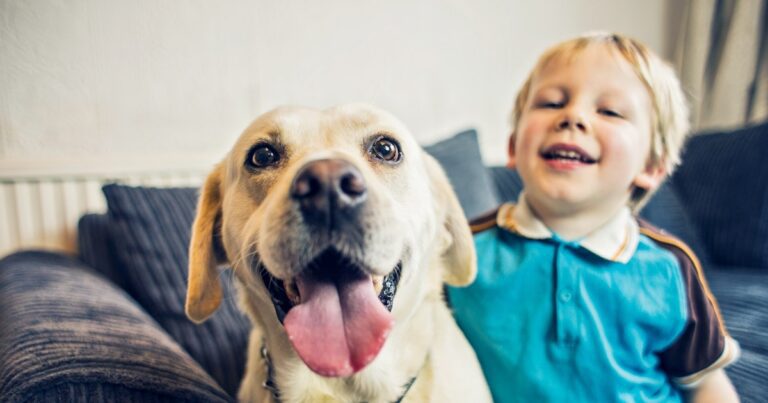 A Canine Expert Reveals How To Tell If Your Dog *Actually* Loves Your Kid