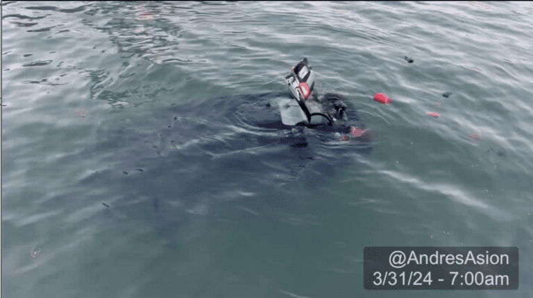 Man drove onto Miami Beach marina boardwalk — and plunged into the ocean, video shows