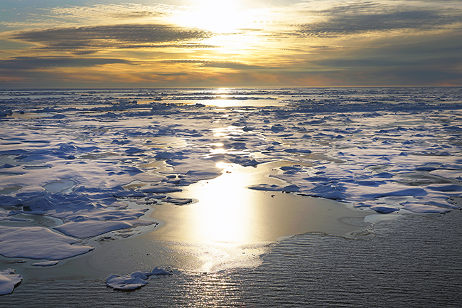 The Latest News out of the Arctic Is Mixed — and That’s Not Good