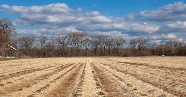 They Grow Your Berries and Peaches, but Often Lack One Item: Insurance