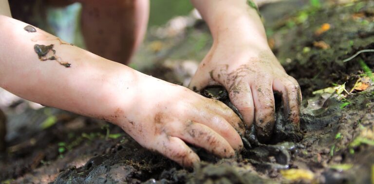What Is Dirt? Check Out The Whole Wriggling World Alive In The Ground Beneath Our Feet