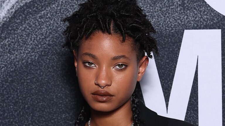 Willow Smith’s Braids Are So Long, They Don’t Even Fit in Her Latest Selfie — See Photos